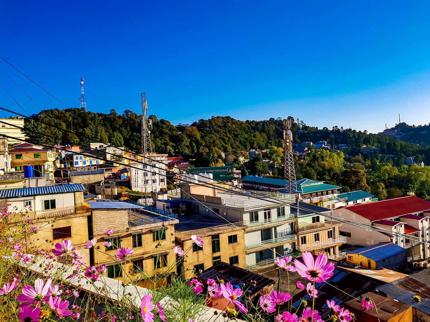 Capturing Vitality Through Photography